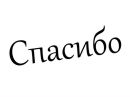 №6 Катерина Колокольцева 23.08.1996: профиль, фото, статус - ВКонтакте