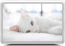 Фотография Игнатьевой Ирины