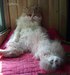 Андрей Осадчий фотография #30