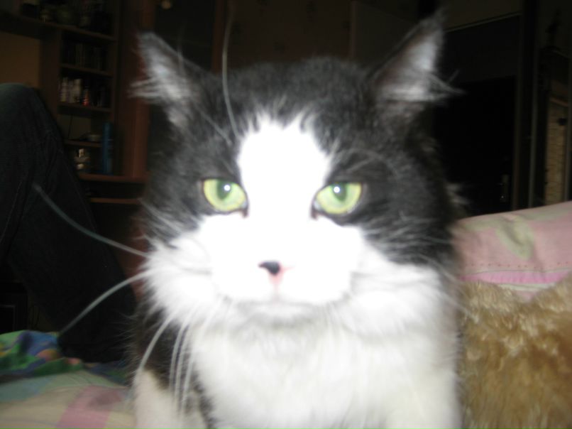 Лариса Минина | Костомукша