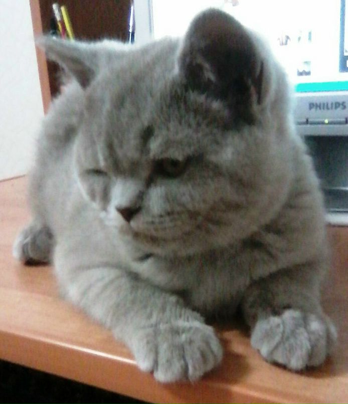 Ольга Шуднева | Полоцк