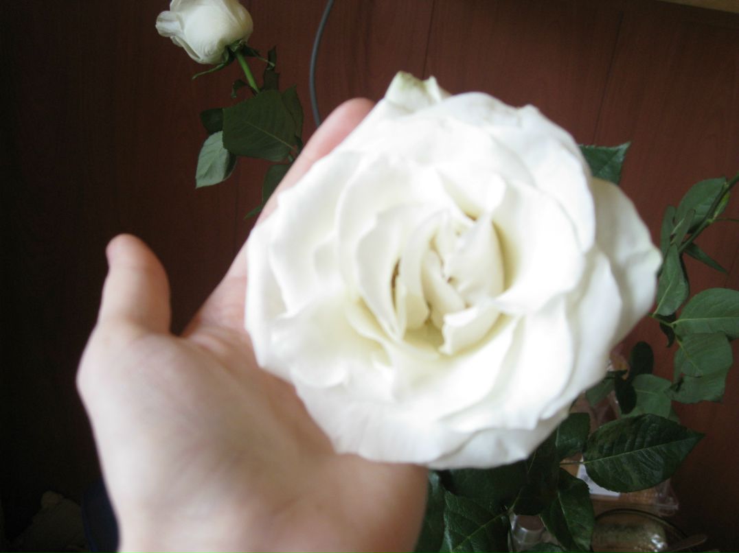 Марина Егорова Масичка*** | Мурманск