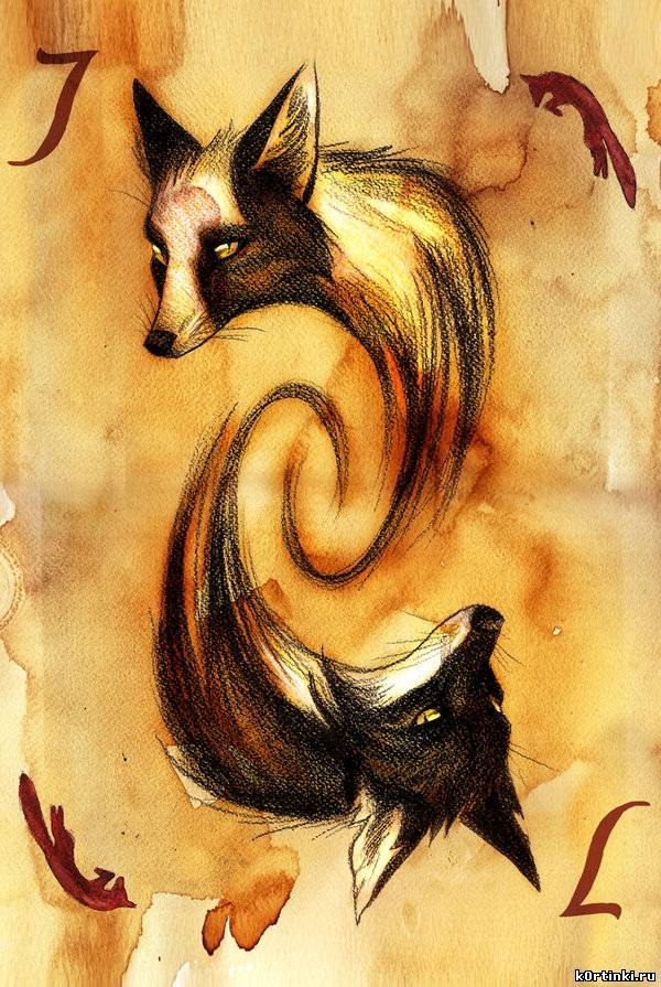 Анюта Желнина ♫ ka†ze ♪ | Санкт-Петербург