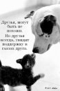 Фотография Катя Дзись