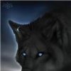 Аватар: Саша Зимаков