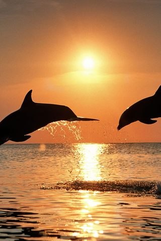 Алекс Михайлов | 