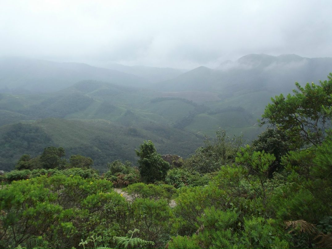 Игорь Гоголев | Тель-Авив