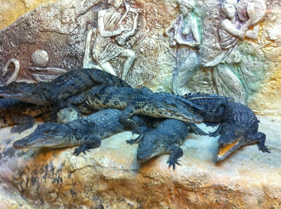 Виктор Спицын | Ялта