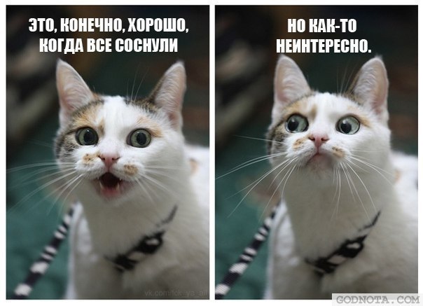 Дмитрий Карсаков Конь Дурной | Красноярск