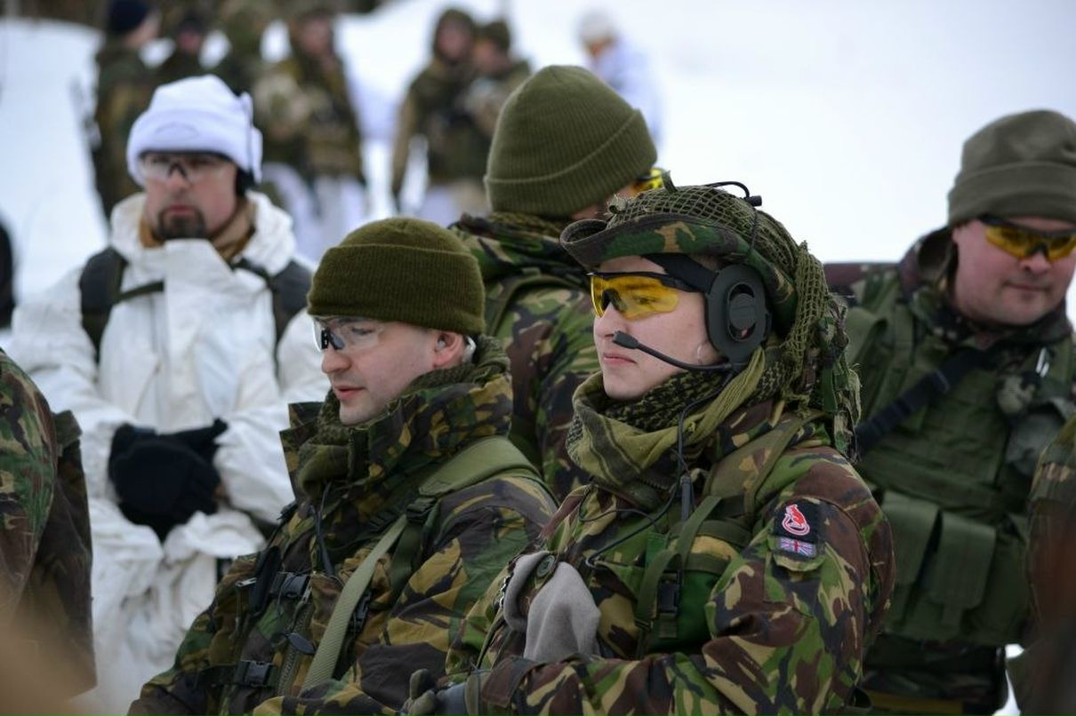 Иван Соломатин Krolikus | Москва