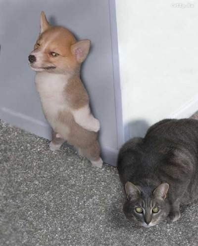 Руслан Руслан | Москва