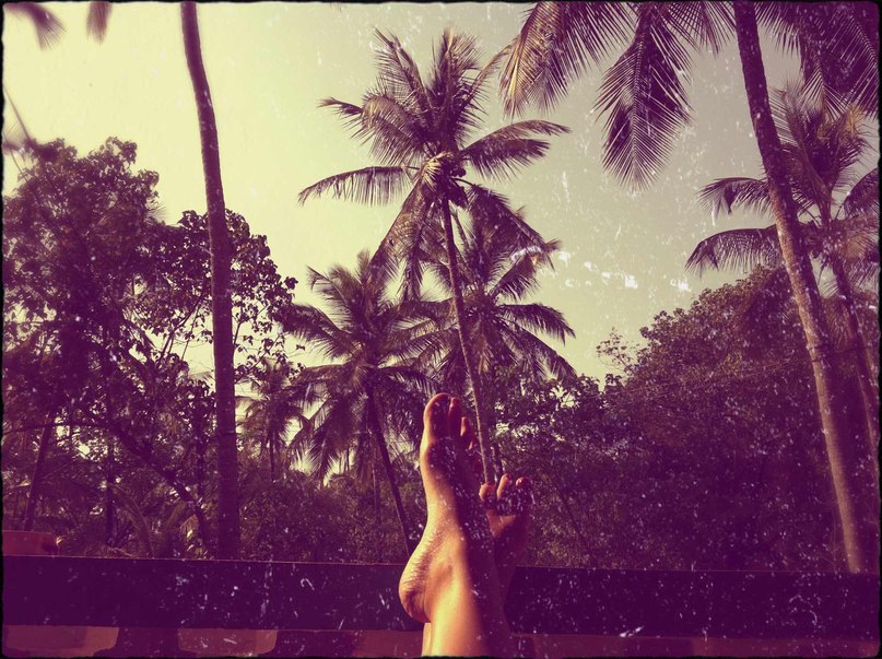 Елена Морозова | Москва