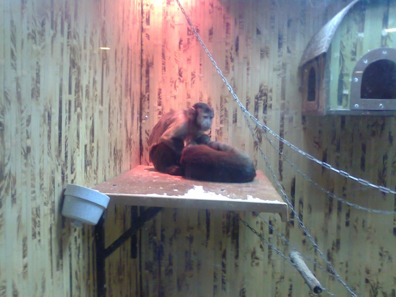 Марина Сахненко | Сумы