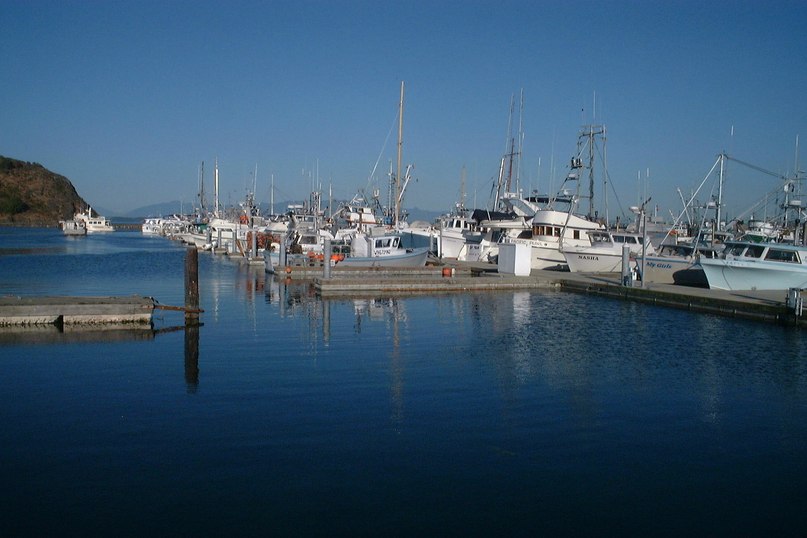 Victoria Frantseva | 