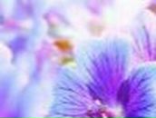 Ольга Корженевская | Кемерово