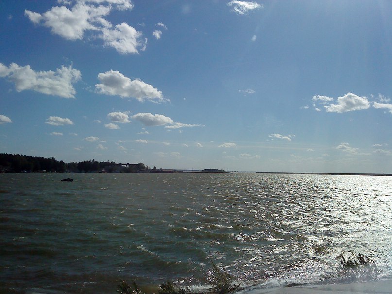 Михаил Басалаев | Новосибирск