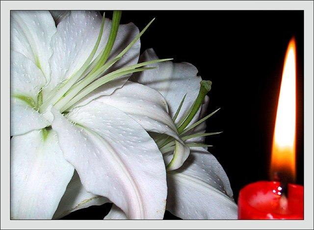 Светлана Нигматуллина Владимировна | Исфара