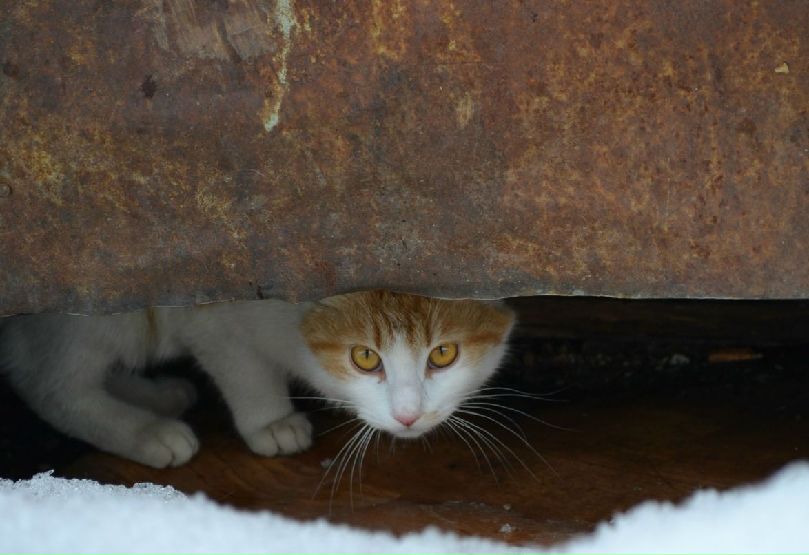 Маша Сорокина | Москва