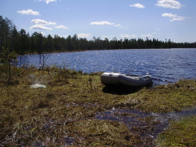 Павел Оводов | Архангельск
