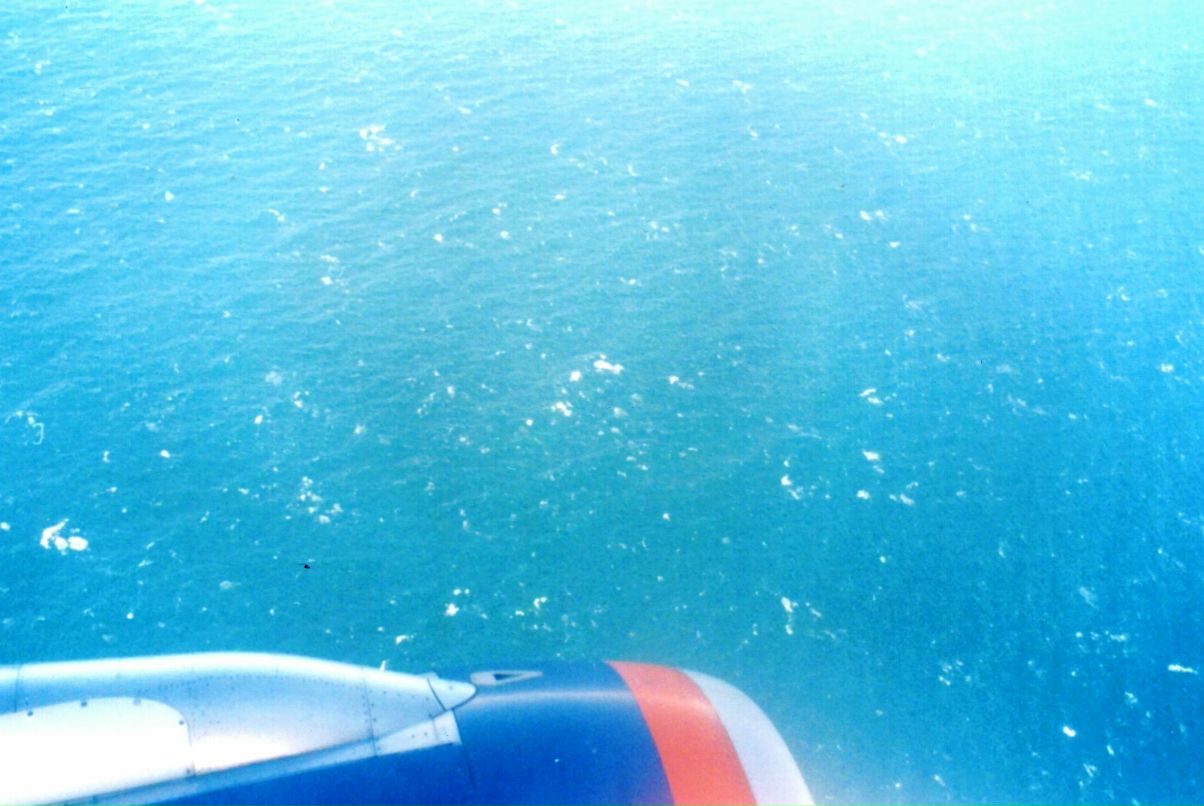 Ольга Старшинова - ostar - | Москва