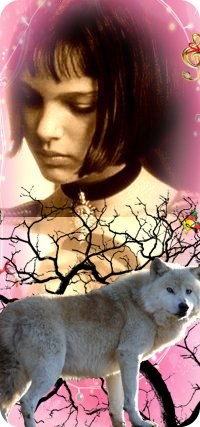 Валерия Глушкова | Запорожье