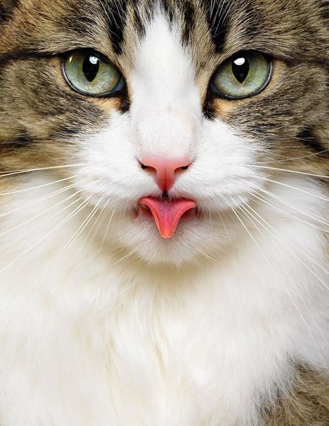 Наталья Рагоза | Красноярск