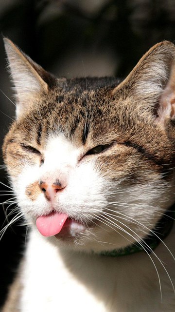 Андрей Троянов | Ростов-на-Дону