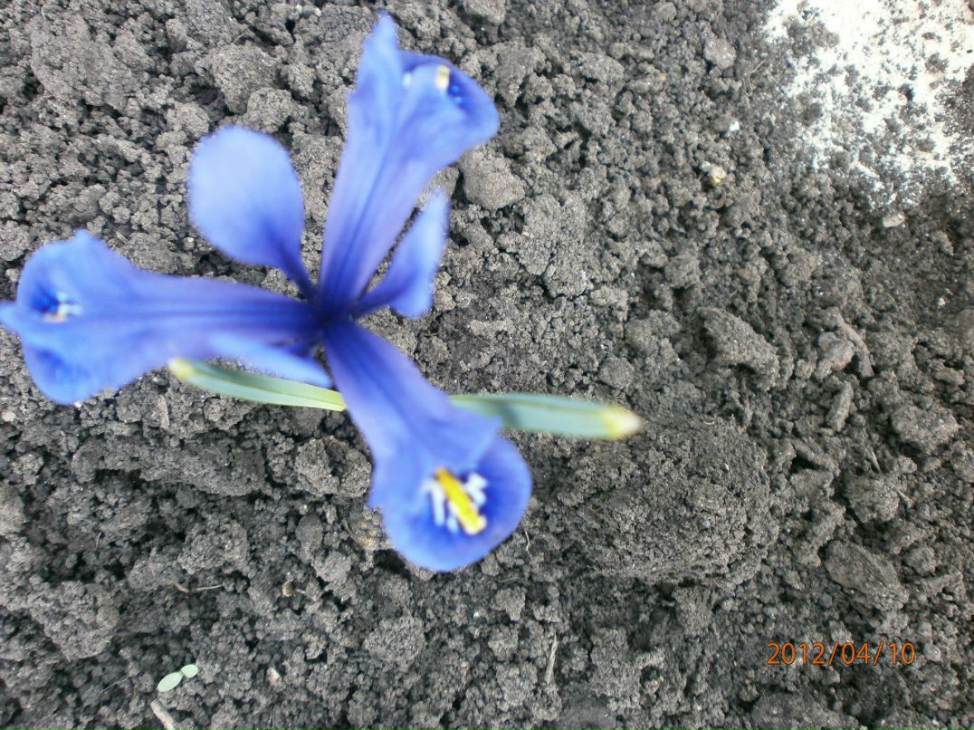 Elena Korsun | Славянск