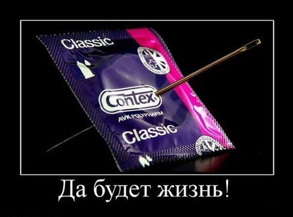 Шив Jahmitrij Don-De-Lion | Москва