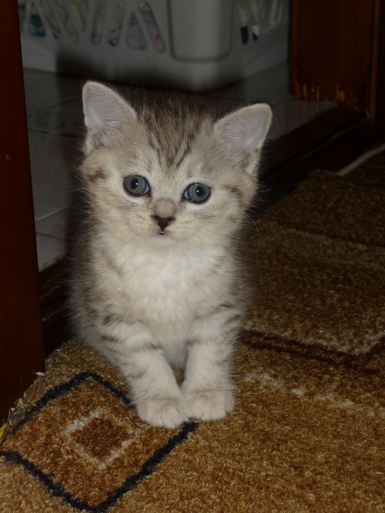 Диляра Айнуллина | Тюмень