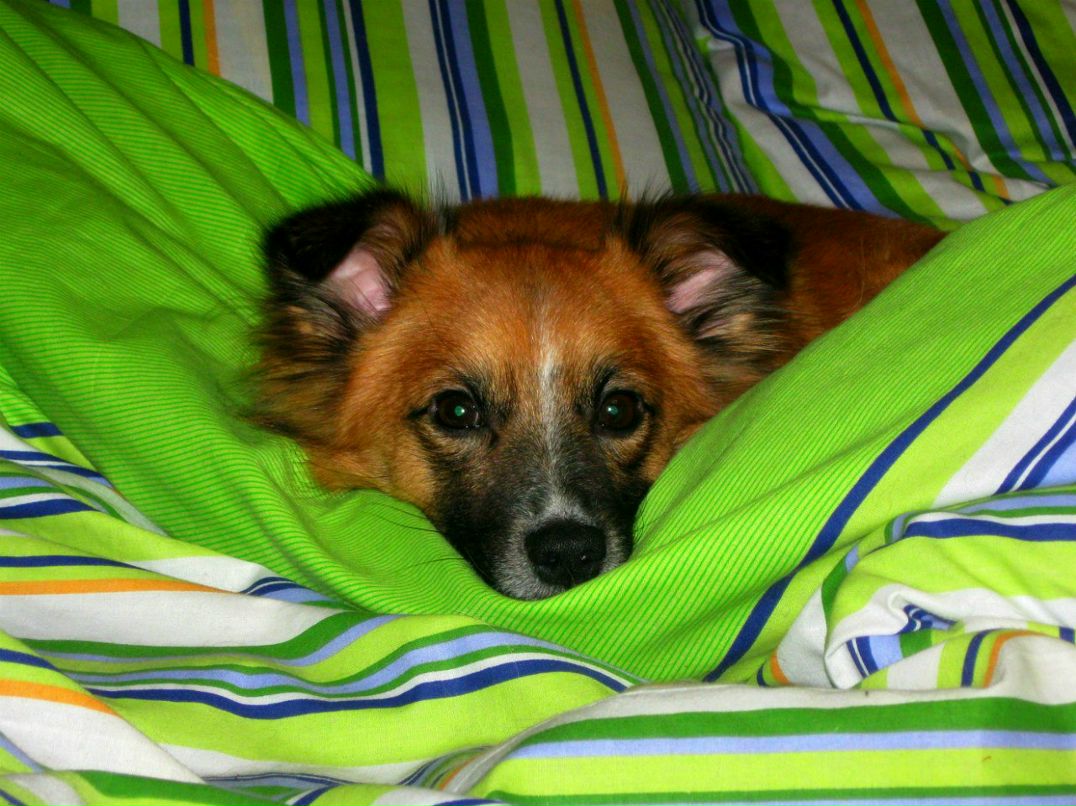 Вероника Ежак | 