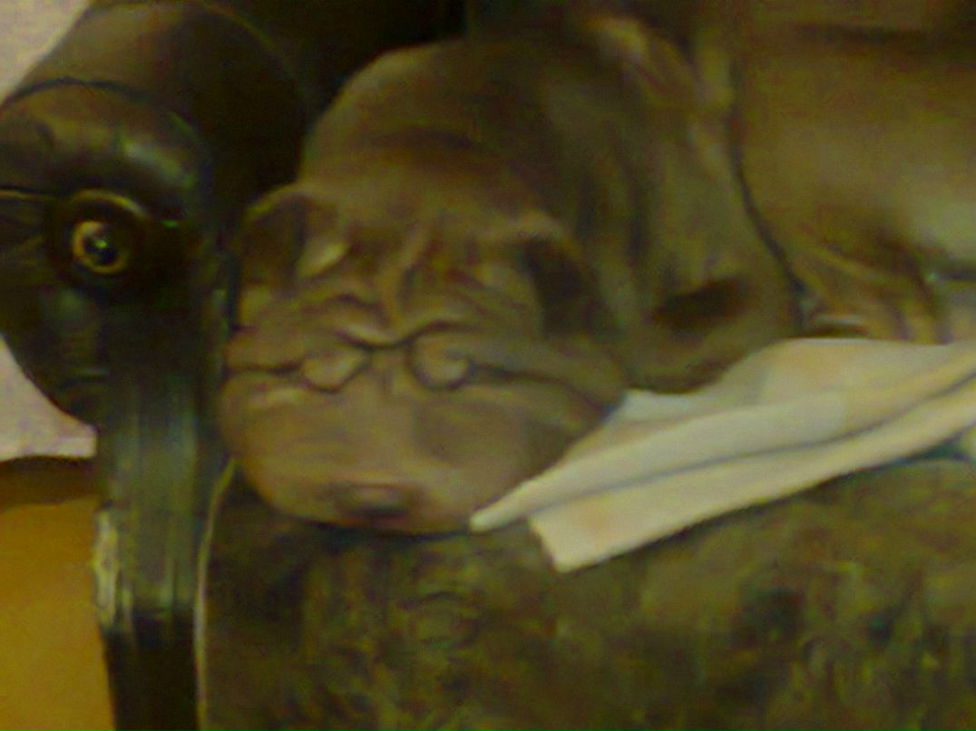 Андрей Скопин | Лесной