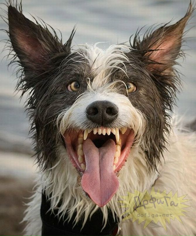 Саня Оськин | Снежногорск