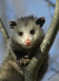 Алексей Додонов | Москва