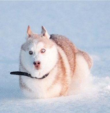 Анна Соколюк | Одесса