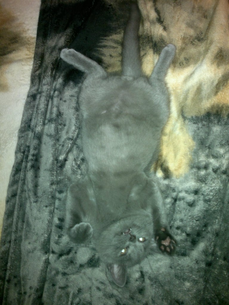 Диана Исламгулова | Уфа