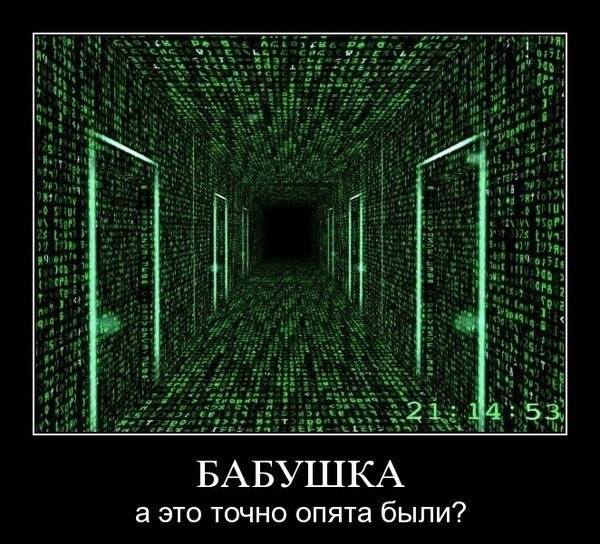 Максим Куличков | Санкт-Петербург