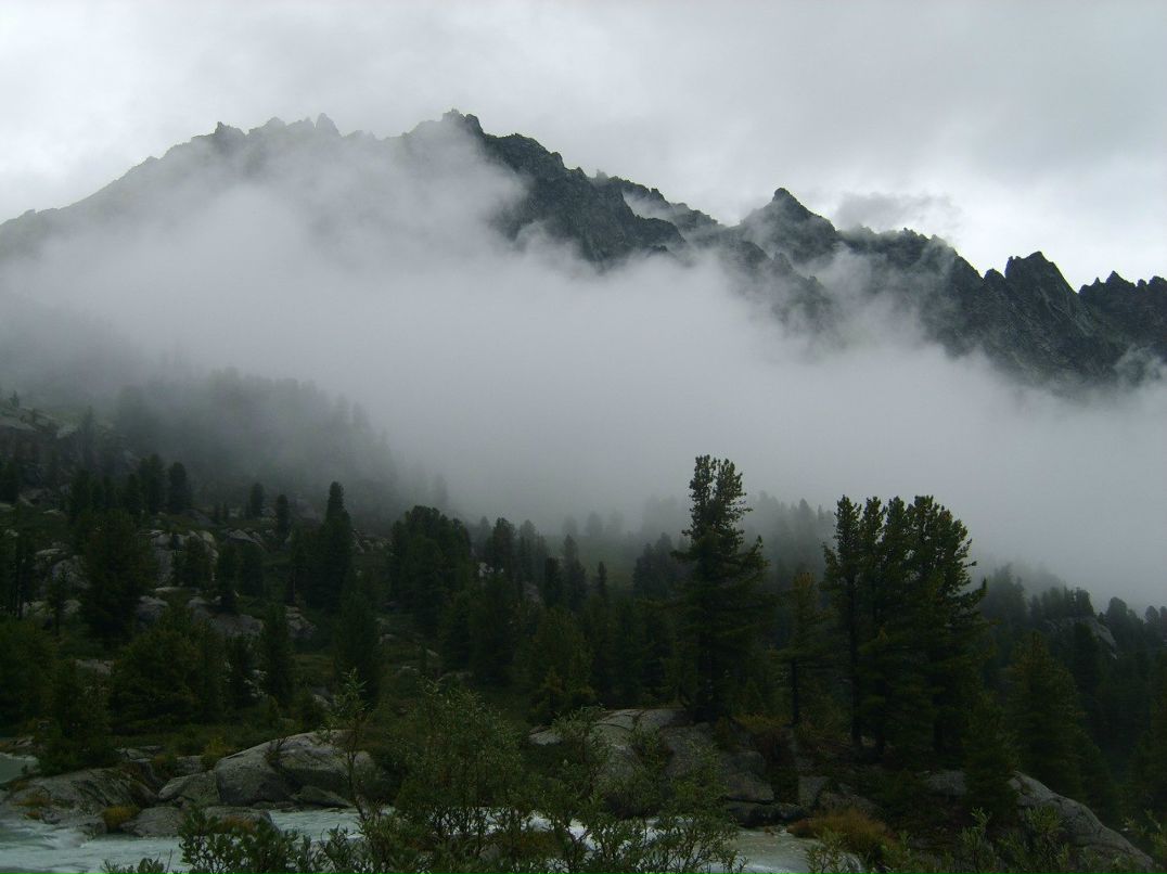 Дмитрий Поляков | 