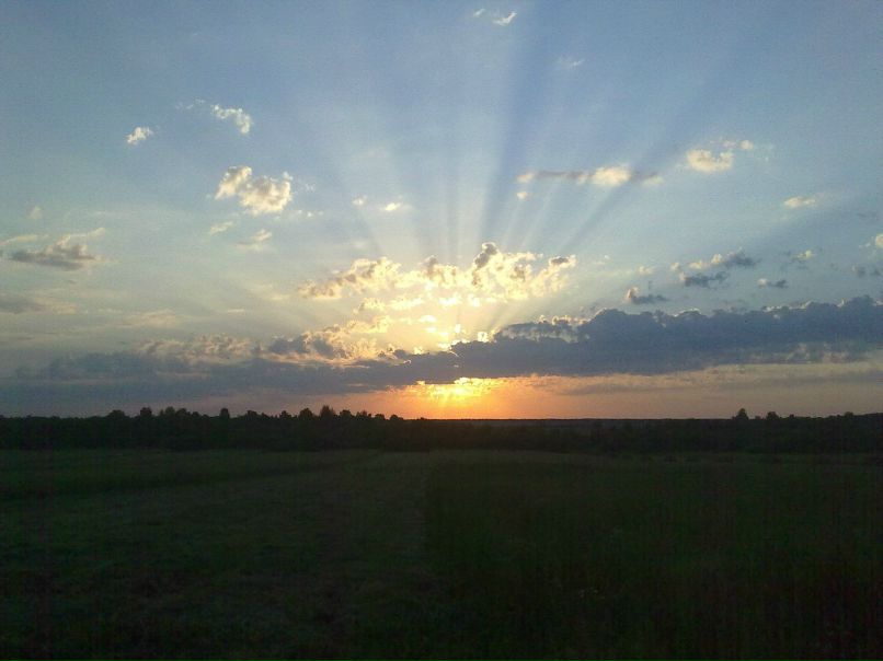 Алексей Панфилов | Ярославль