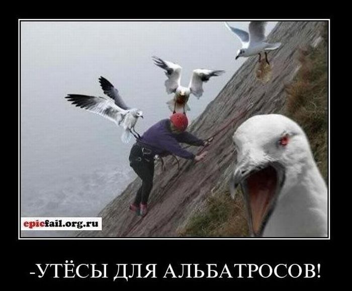 Шура Шлезингер | Великий Новгород