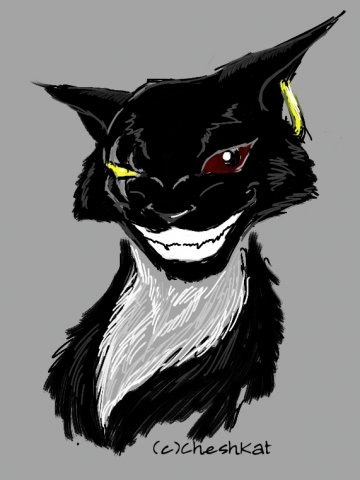 Roman Zolotykh | Красноярск