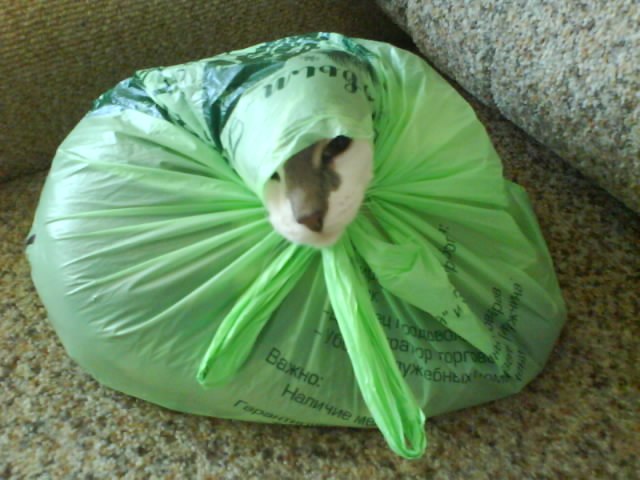 Катюшка Жевагина | 