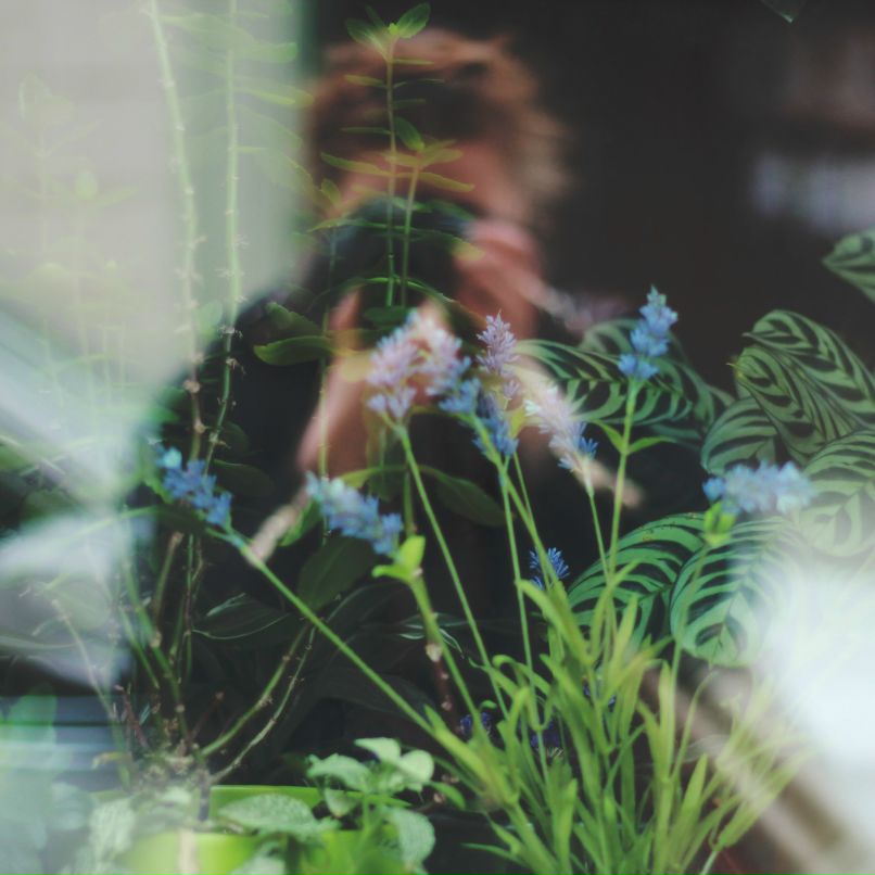 Лера Захарова | Klagenfurt