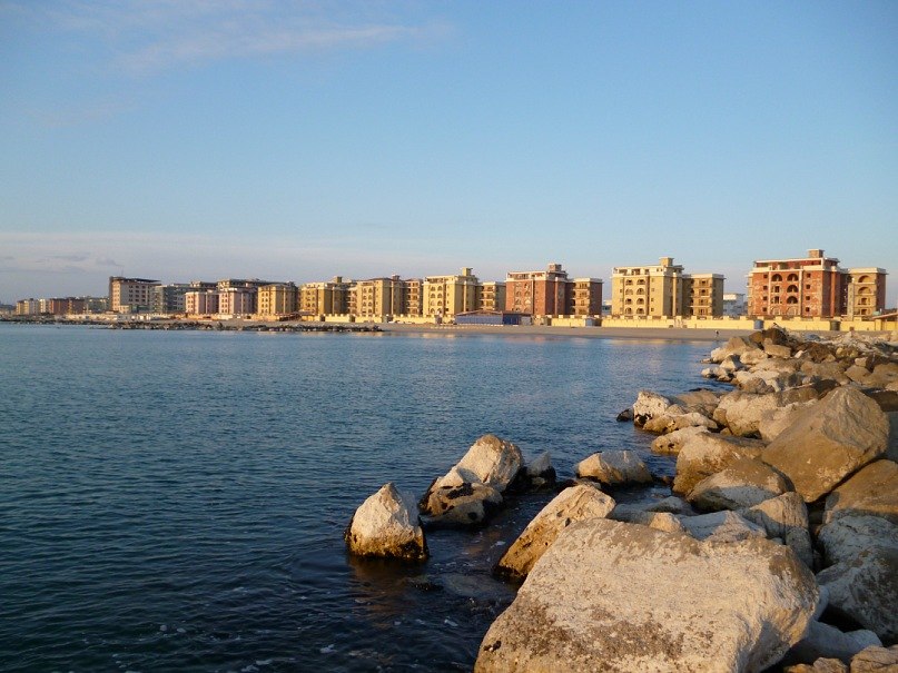 Александр Шевчук | Новоград-Волынский