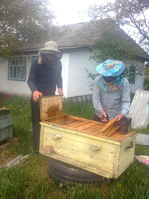 Владислав Колесниченко | Кропивницкий / Кировоград