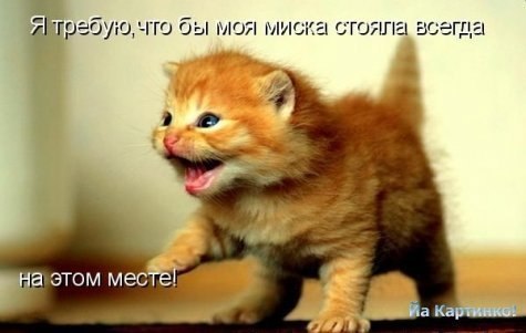 Юля Капелюшок | Киев