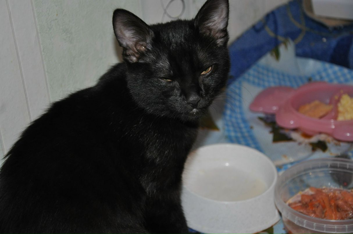 Павел Александров | Котлас