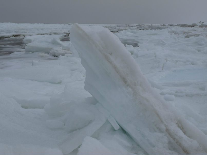 Оксана Царькова | Мытищи