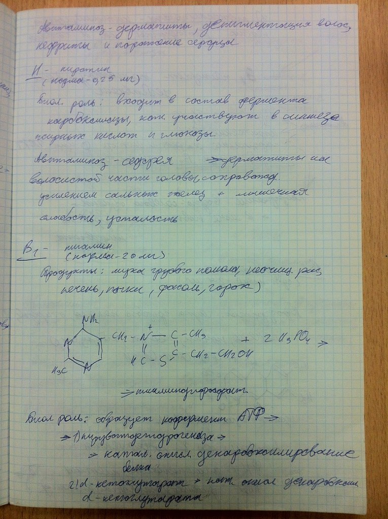 Эльтаир Дженкинс | Санкт-Петербург