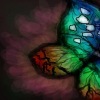 Аватар: Юлия Зайцева